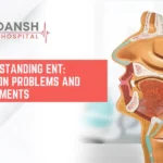 Anatomical cross-section model of the human head and neck highlighting ENT (Ear, Nose, and Throat) structures, featured by Ridansh Hospital